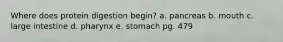 Where does protein digestion begin? a. pancreas b. mouth c. <a href='https://www.questionai.com/knowledge/kGQjby07OK-large-intestine' class='anchor-knowledge'>large intestine</a> d. pharynx e. stomach pg. 479