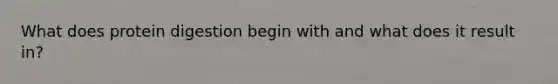 What does protein digestion begin with and what does it result in?
