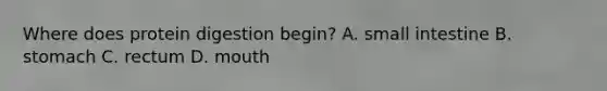 Where does protein digestion begin? A. small intestine B. stomach C. rectum D. mouth