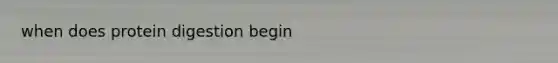 when does protein digestion begin