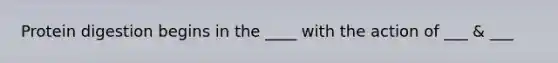 Protein digestion begins in the ____ with the action of ___ & ___