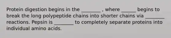 Protein digestion begins in the ________ , where ______ begins to break the long polypeptide chains into shorter chains via ________ reactions. Pepsin is ________ to completely separate proteins into individual amino acids.