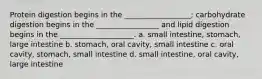 Protein digestion begins in the __________________; carbohydrate digestion begins in the _________________ and lipid digestion begins in the ____________________. a. small intestine, stomach, large intestine b. stomach, oral cavity, small intestine c. oral cavity, stomach, small intestine d. small intestine, oral cavity, large intestine