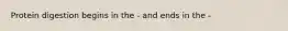 Protein digestion begins in the - and ends in the -