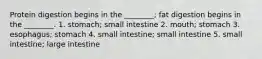 Protein digestion begins in the ________; fat digestion begins in the ________. 1. stomach; small intestine 2. mouth; stomach 3. esophagus; stomach 4. small intestine; small intestine 5. small intestine; large intestine