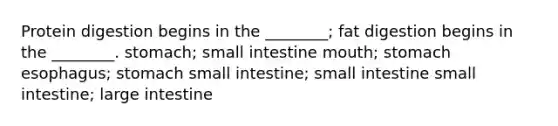 Protein digestion begins in the ________; fat digestion begins in the ________. stomach; small intestine mouth; stomach esophagus; stomach small intestine; small intestine small intestine; large intestine