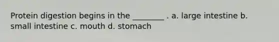 Protein digestion begins in the ________ . a. large intestine b. small intestine c. mouth d. stomach