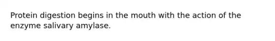 Protein digestion begins in the mouth with the action of the enzyme salivary amylase.