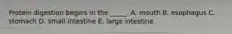 Protein digestion begins in the _____. A. mouth B. esophagus C. stomach D. small intestine E. large intestine