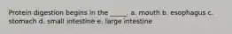 Protein digestion begins in the _____. a. mouth b. esophagus c. stomach d. small intestine e. large intestine