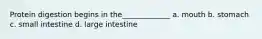 Protein digestion begins in the_____________ a. mouth b. stomach c. small intestine d. large intestine