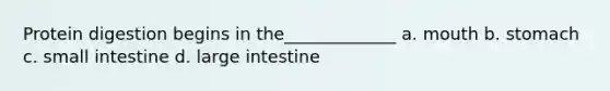 Protein digestion begins in the_____________ a. mouth b. stomach c. small intestine d. large intestine