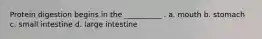 Protein digestion begins in the __________ . a. mouth b. stomach c. small intestine d. large intestine