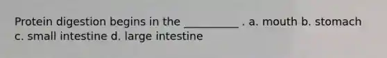 Protein digestion begins in the __________ . a. mouth b. stomach c. small intestine d. large intestine