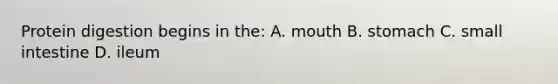Protein digestion begins in the: A. mouth B. stomach C. small intestine D. ileum