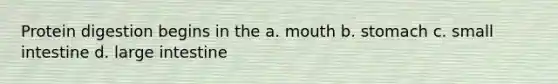 Protein digestion begins in the a. mouth b. stomach c. small intestine d. large intestine