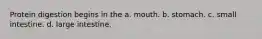 Protein digestion begins in the a. mouth. b. stomach. c. small intestine. d. large intestine.