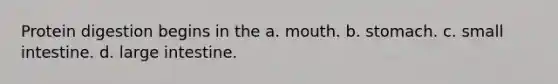 Protein digestion begins in the a. mouth. b. stomach. c. small intestine. d. large intestine.
