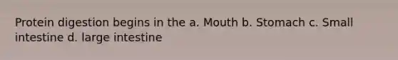 Protein digestion begins in the a. Mouth b. Stomach c. Small intestine d. large intestine