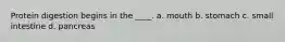 Protein digestion begins in the ____. a. mouth b. stomach c. small intestine d. pancreas