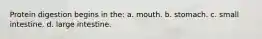 Protein digestion begins in the: a. mouth. b. stomach. c. small intestine. d. large intestine.