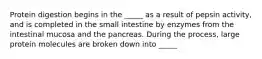 Protein digestion begins in the _____ as a result of pepsin activity, and is completed in the small intestine by enzymes from the intestinal mucosa and the pancreas. During the process, large protein molecules are broken down into _____