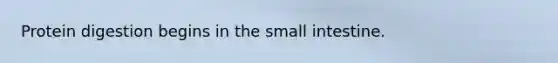 Protein digestion begins in the small intestine.
