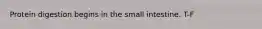 Protein digestion begins in the small intestine. T-F
