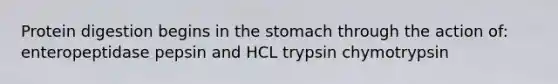 Protein digestion begins in the stomach through the action of: enteropeptidase pepsin and HCL trypsin chymotrypsin