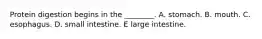 Protein digestion begins in the ________. A. stomach. B. mouth. C. esophagus. D. small intestine. E large intestine.