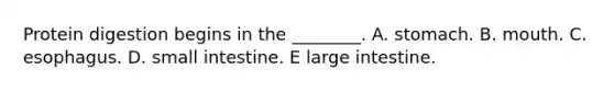 Protein digestion begins in the ________. A. stomach. B. mouth. C. esophagus. D. small intestine. E large intestine.