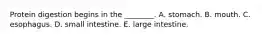 Protein digestion begins in the ________. A. stomach. B. mouth. C. esophagus. D. small intestine. E. large intestine.
