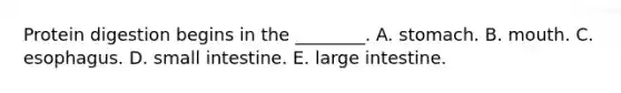 Protein digestion begins in the ________. A. stomach. B. mouth. C. esophagus. D. small intestine. E. large intestine.