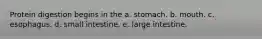 Protein digestion begins in the a. stomach. b. mouth. c. esophagus. d. small intestine. e. large intestine.