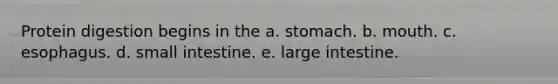 Protein digestion begins in the a. stomach. b. mouth. c. esophagus. d. small intestine. e. large intestine.