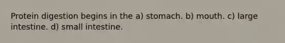 Protein digestion begins in the a) stomach. b) mouth. c) large intestine. d) small intestine.