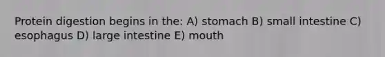 Protein digestion begins in the: A) stomach B) small intestine C) esophagus D) large intestine E) mouth