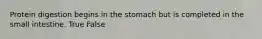 Protein digestion begins in the stomach but is completed in the small intestine. True False