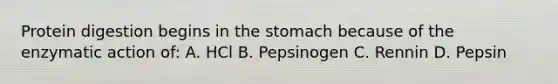 Protein digestion begins in the stomach because of the enzymatic action of: A. HCl B. Pepsinogen C. Rennin D. Pepsin