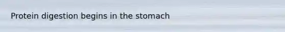 Protein digestion begins in the stomach