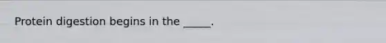 Protein digestion begins in the _____.