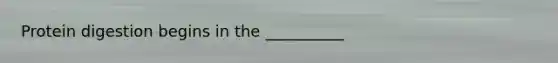 Protein digestion begins in the __________