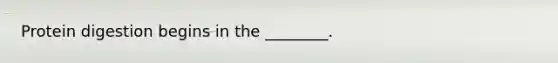 Protein digestion begins in the ________.
