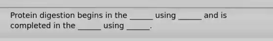 Protein digestion begins in the ______ using ______ and is completed in the ______ using ______.
