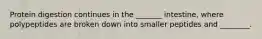 Protein digestion continues in the _______ intestine, where polypeptides are broken down into smaller peptides and ________.