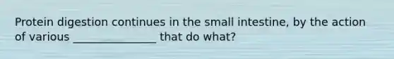 Protein digestion continues in the small intestine, by the action of various _______________ that do what?