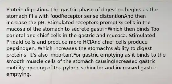 Protein digestion- The gastric phase of digestion begins as the stomach fills with foodReceptor sense distentionAnd then increase the pH. Stimulated receptors prompt G cells in the mucosa of the stomach to secrete gastrinWhich then binds Too parietal and chief cells in the gastric and mucosa. Stimulated Pridald cells and produce more HClAnd chief cells produce pepsinogen. Which increases the stomach's ability to digest proteins. It's also importantFor gastric emptying as it binds to the smooth muscle cells of the stomach causingIncreased gastric motility opening of the pyloric sphincter and increased gastric emptying.