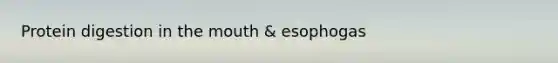 Protein digestion in the mouth & esophogas