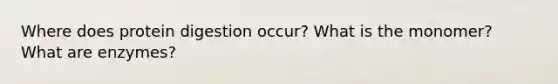 Where does protein digestion occur? What is the monomer? What are enzymes?