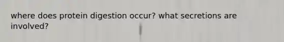 where does protein digestion occur? what secretions are involved?